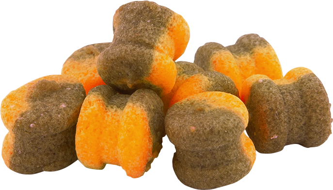 H6 DRAGON MAGNUM Wafters POMARAŃCZA-CZEKOLADA 6mm