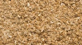 KOMPONĘT LORPIO KOLENDRA MIELONA 300GR