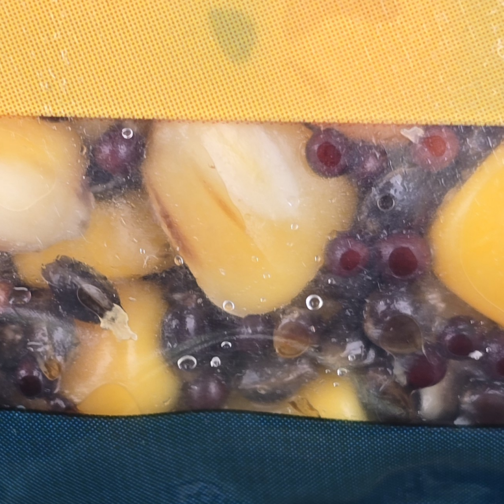 Ziarna Mix1 - Naturalny 1kg