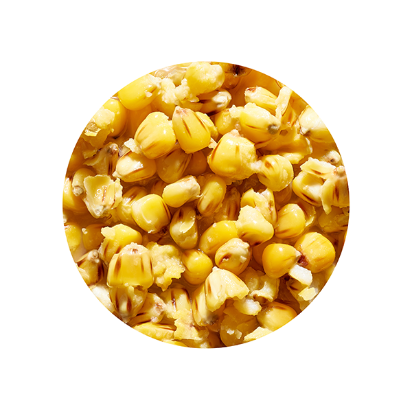 ZIARNO GENLOG KUKURYDZA TRUSKAWKA 1kg